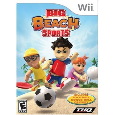 Big Beach Sports image 1