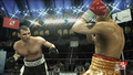 Don King Presents Prize Fighter thumbnail 2