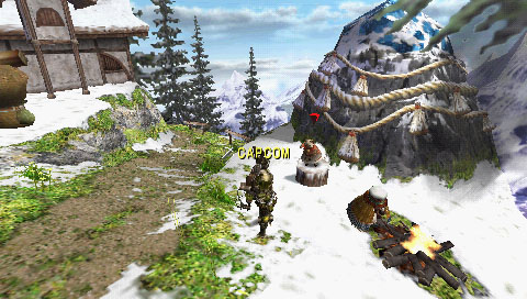 Monster Hunter Portable 2nd G image 9