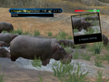 Wild Earth: African Safari thumbnail 7