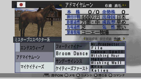 Winning Post 6 2008 image 2