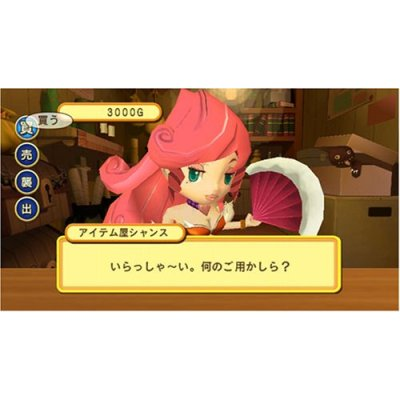 Dokapon Kingdom for Wii image 5