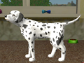 Paws & Claws Pet Vet Healing Hands thumbnail 3