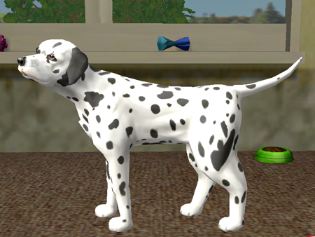 Paws & Claws Pet Vet Healing Hands image 3