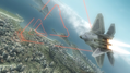 Tom Clancy's H.A.W.X. thumbnail 4