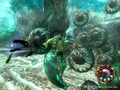 Otogi thumbnail 4
