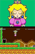Super Princess Peach thumbnail 4