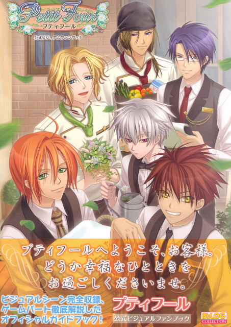 Petit Four Official Visual Fan Book image 1