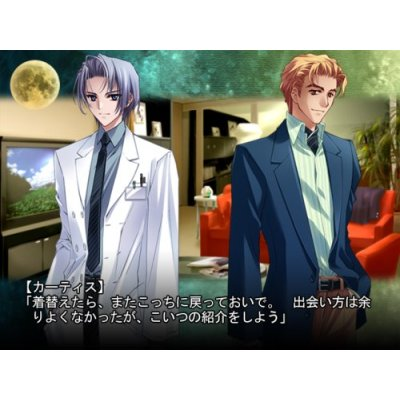 Gin no Eclipse image 4