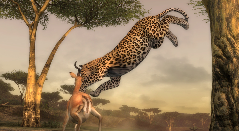 Hakuna Matata image 5