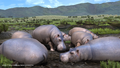 Hakuna Matata thumbnail 7