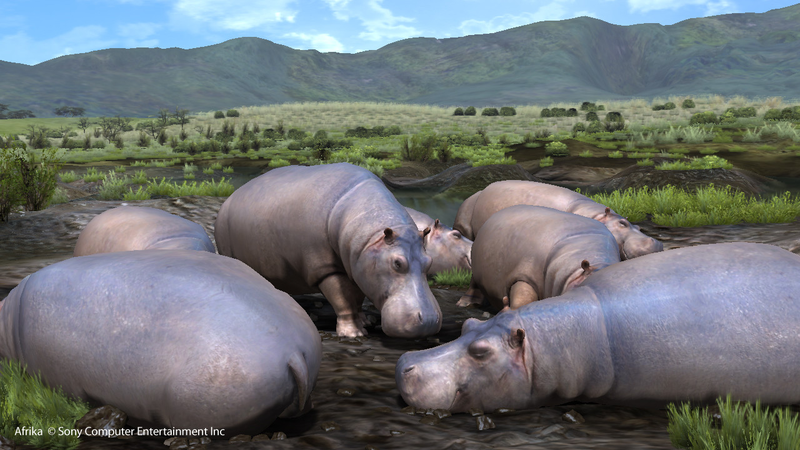 Hakuna Matata image 7