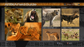 Hakuna Matata thumbnail 12