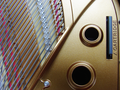 Grand Pianist thumbnail 3