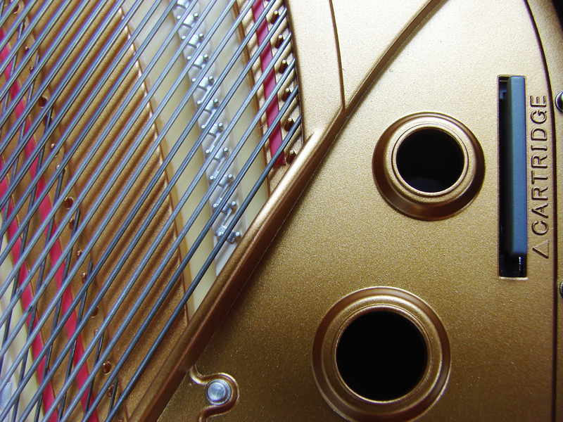 Grand Pianist image 3