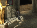 Harry Potter & The Half Blood Prince thumbnail 5