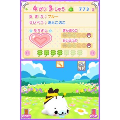 Mame Goma 2: Uchi no Ko ga Ichiban! image 4