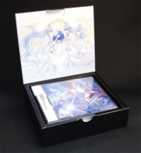 Ys DS / Ys II DS Special Box [Limited Edition]
