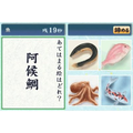 Nandoku Kanji DS: Nandoku - Yojijukugo - Koji Kotowaza thumbnail 10