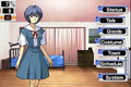 Neon Genesis Evangelion Ayanami Ikusei Keikaku DS with Asuka Hokan Keikaku thumbnail 2