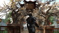 Two Worlds II (DVD-ROM) thumbnail 9