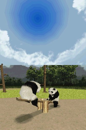 National Geographic: Panda image 2