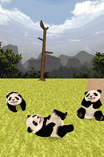 National Geographic: Panda image 4
