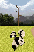National Geographic: Panda thumbnail 5