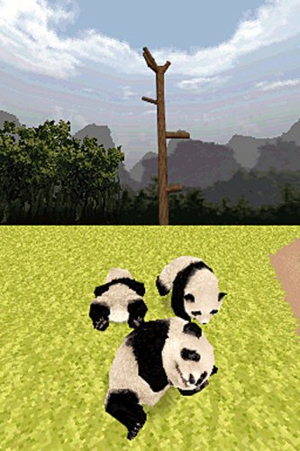 National Geographic: Panda image 5