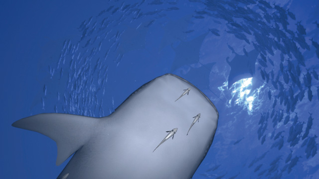 Aquanaut's Holiday image 3