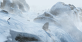 Shaun White Snowboarding thumbnail 2