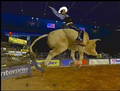 PBR: Out of the Chute thumbnail 3