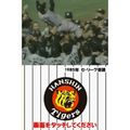 Hanshin Tiger DS thumbnail 2