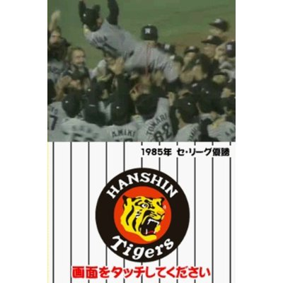 Hanshin Tiger DS image 2