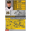 Hanshin Tiger DS thumbnail 4