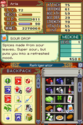 Rune Factory 2: A Fantasy Harvest Moon thumbnail 3