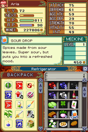 Rune Factory 2: A Fantasy Harvest Moon image 3