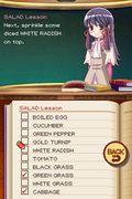 Rune Factory 2: A Fantasy Harvest Moon thumbnail 6