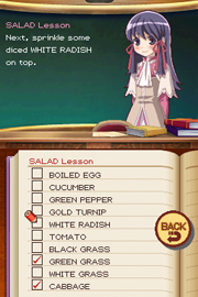 Rune Factory 2: A Fantasy Harvest Moon image 6