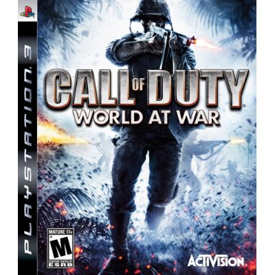 Call of Duty: World at War image 1