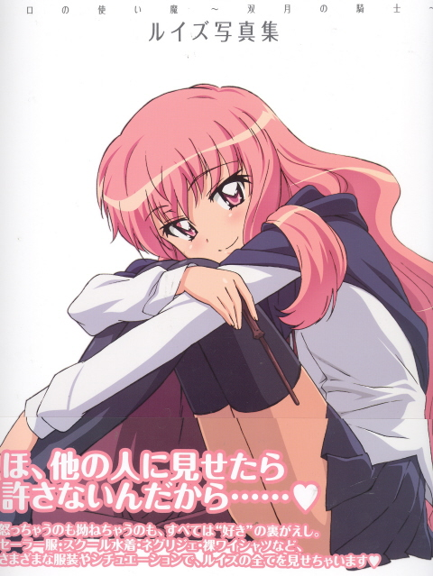 Zero no Tsukaima: Knight of Twin Moon Illustration Book image 1