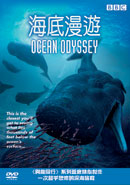 Ocean Odyssey image 1