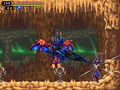 Castlevania: Order of Ecclesia thumbnail 9