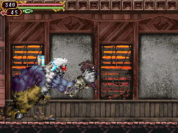 Castlevania: Order of Ecclesia image 11