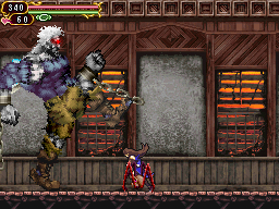 Castlevania: Order of Ecclesia image 4