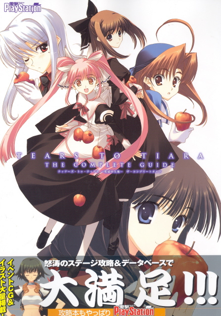 Tears to Tiara: Kakan no Daichi Complete Guide image 1