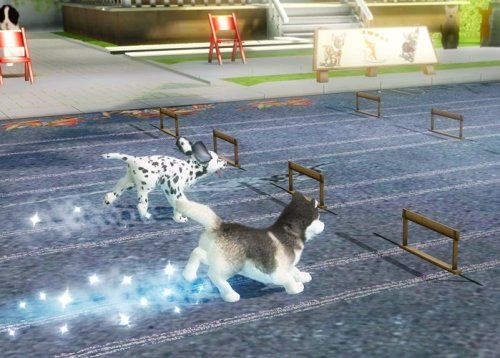 Petz Sports image 2