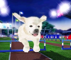 Petz Sports