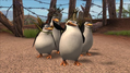 Madagascar 2: Escape 2 Africa thumbnail 7