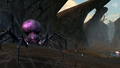 Warhammer Online: Age of Reckoning (DVD-ROM) thumbnail 3